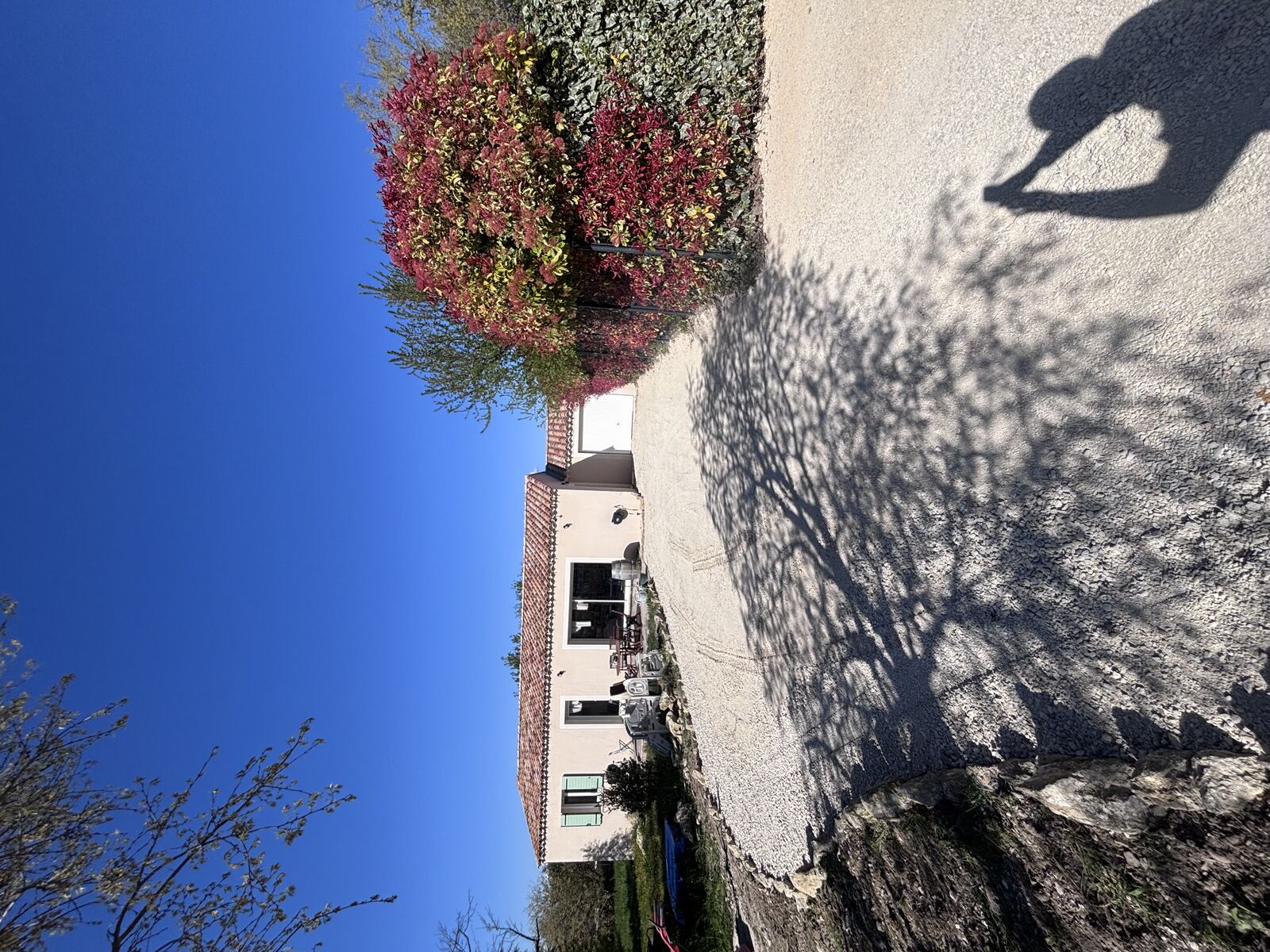 Terrasse et jardin aménagés